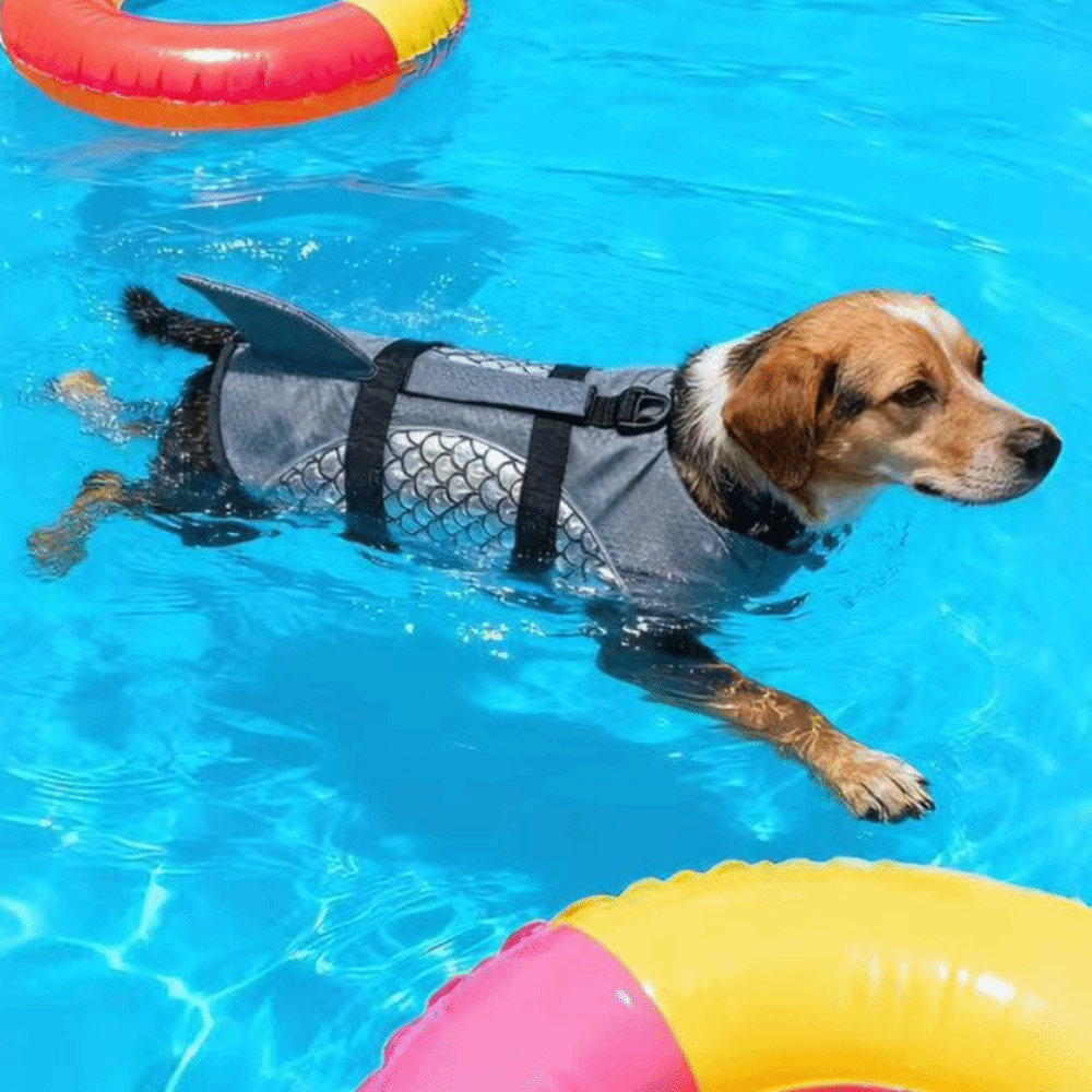 Life Jacket Buoyancy - Спасательный жилет для собак с высокой