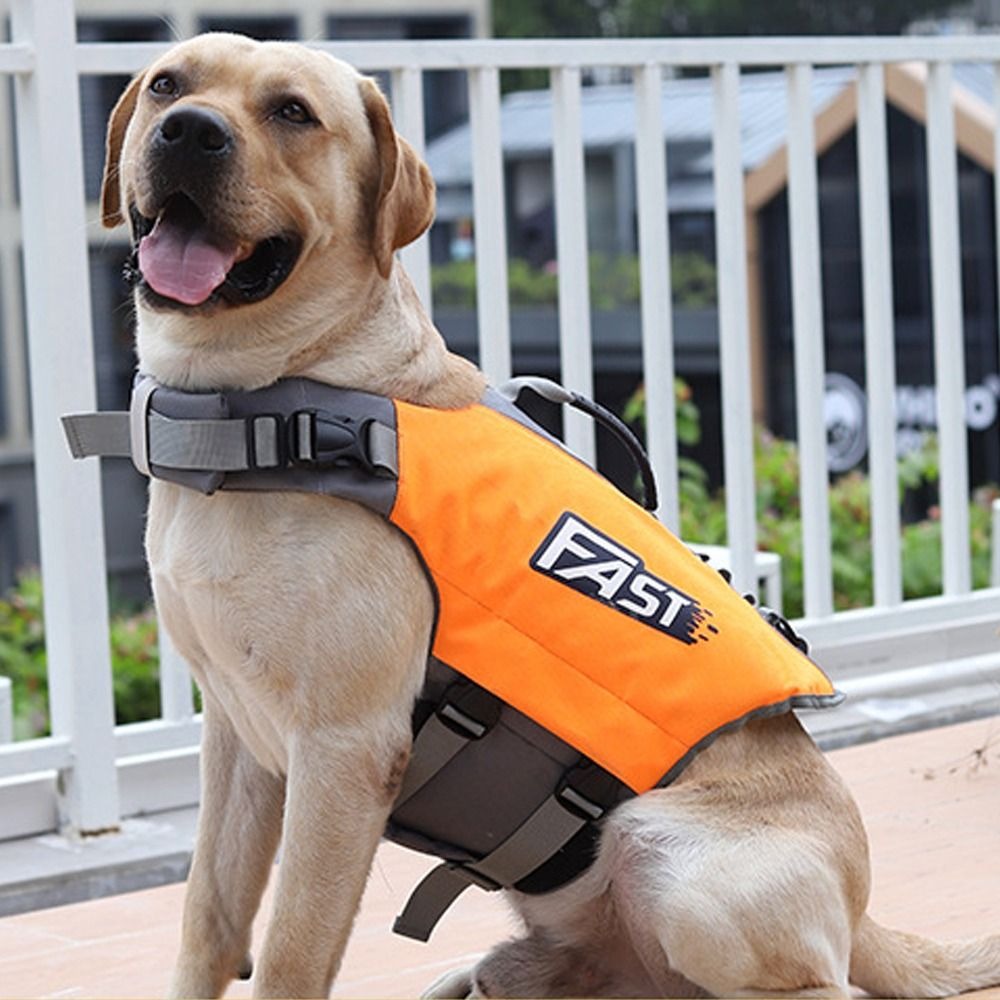 Регулируемый спасательный жиле – обзор и цена Life Jacket Buoyancy