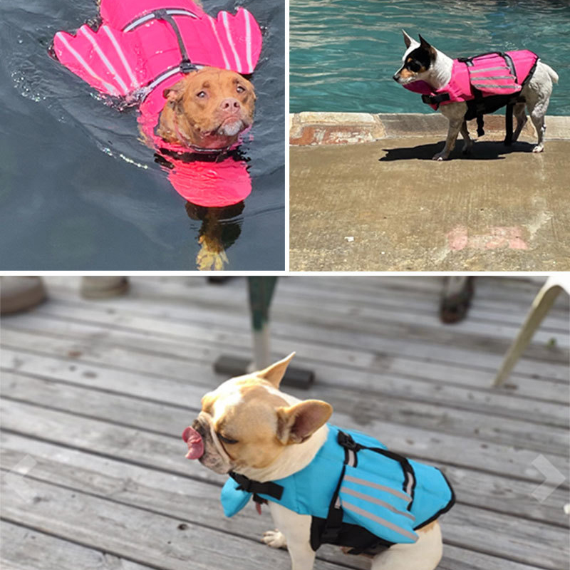 Спасательный жилет для собак,  – обзор и цена Life Jacket Buoyancy